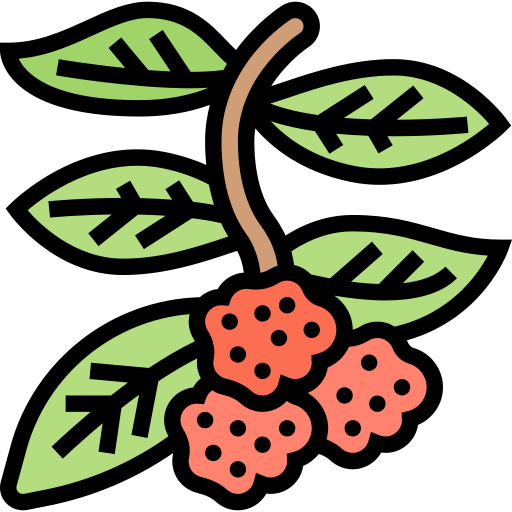 Strawberry Meticulous Lineal Color icon