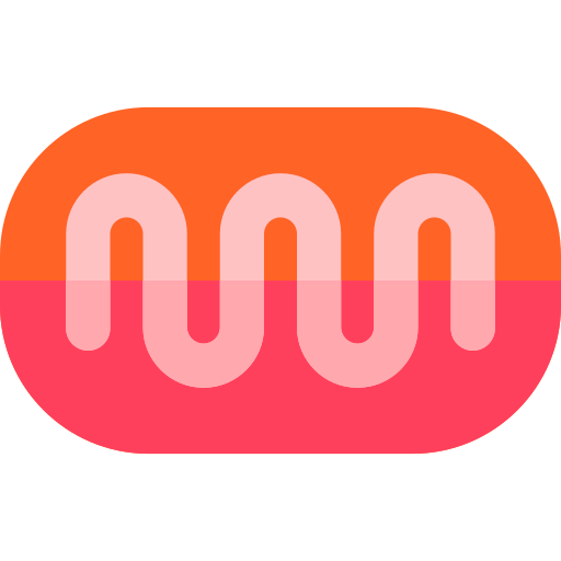 Mitochondria Basic Rounded Flat icon