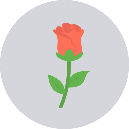 rosa Dinosoft Circular icona