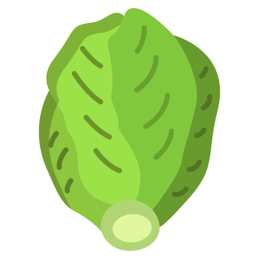 Brussels sprouts Icongeek26 Flat icon