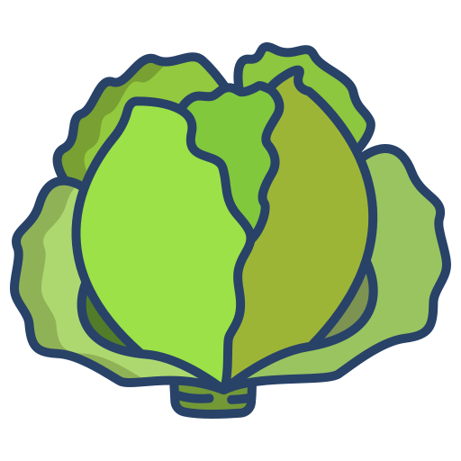 Cabbage Icongeek26 Linear Colour icon