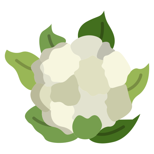 Cauliflower Icongeek26 Flat icon