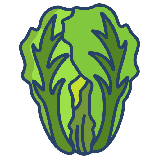 Cabbage Icongeek26 Linear Colour icon