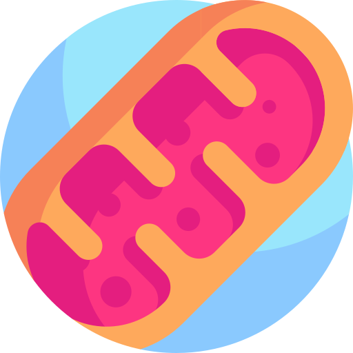 mitochondria Detailed Flat Circular Flat ikona