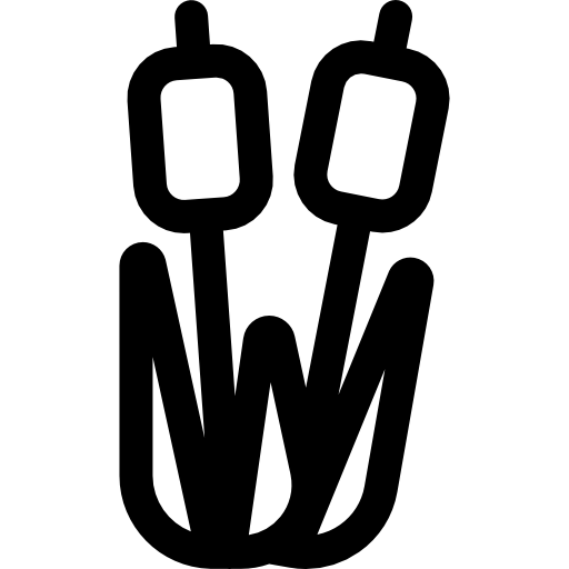 lit de roseau Basic Rounded Lineal Icône