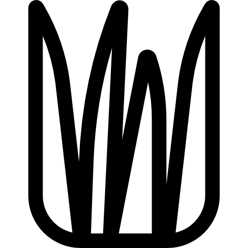 アロエ Basic Rounded Lineal icon