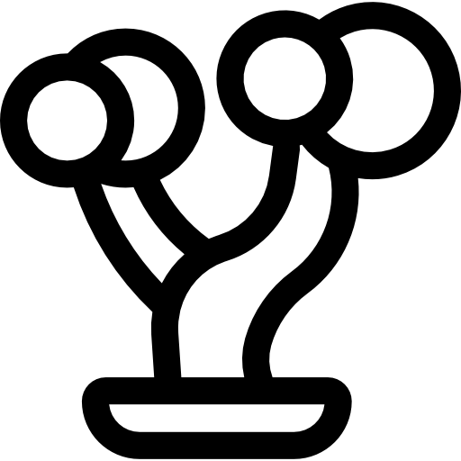 Бонсай Basic Rounded Lineal иконка