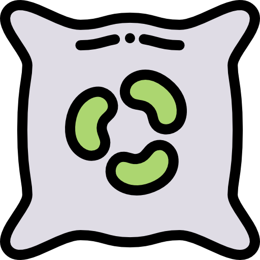 Seed bag Detailed Rounded Lineal color icon