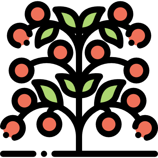 토마토 Detailed Rounded Lineal color icon