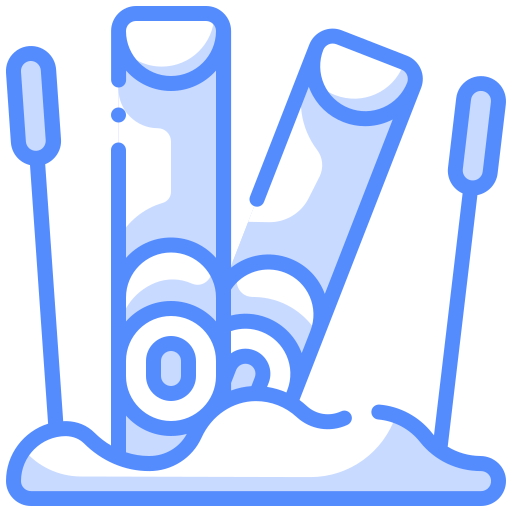 Ski Generic Blue icon