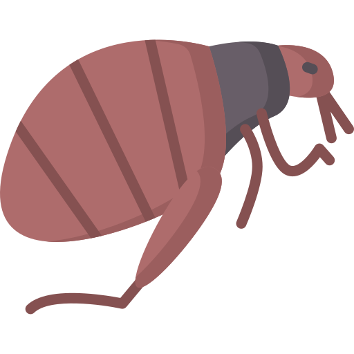 pulga Special Flat Ícone