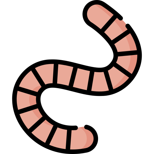 Worm Special Lineal color icon