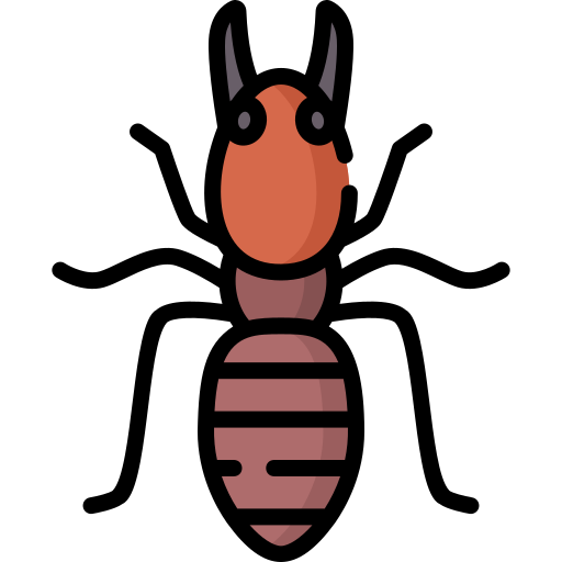 Soldier termite Special Lineal color icon