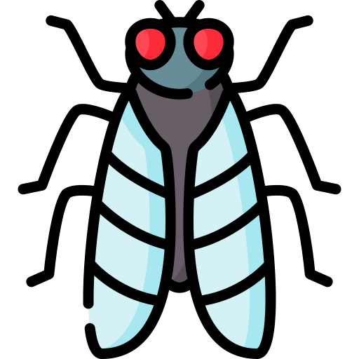 cicade Special Lineal color icoon