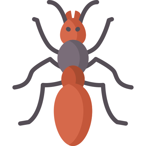 Red ant Special Flat icon