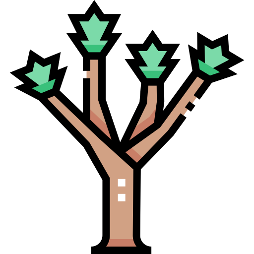 albero di giosuè Detailed Straight Lineal color icona