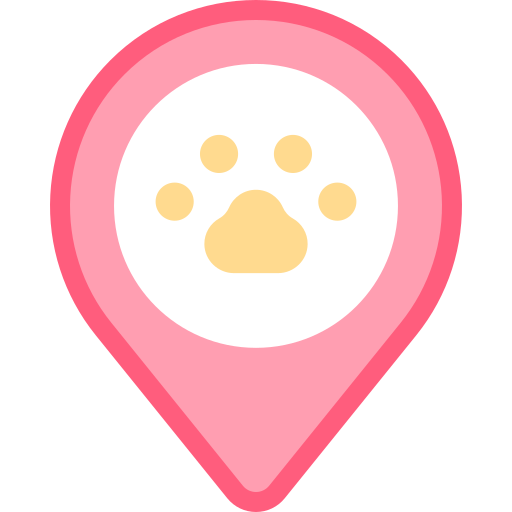 Location Detailed color Lineal color icon