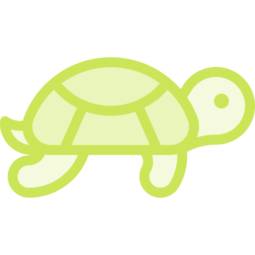 tartaruga Detailed color Lineal color icona