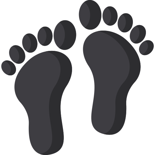 Foot print Special Flat icon