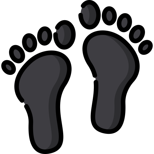 voet afdruk Special Lineal color icoon