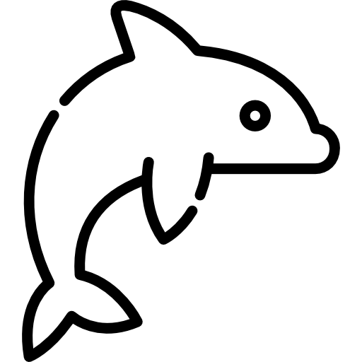 イルカ Special Lineal icon