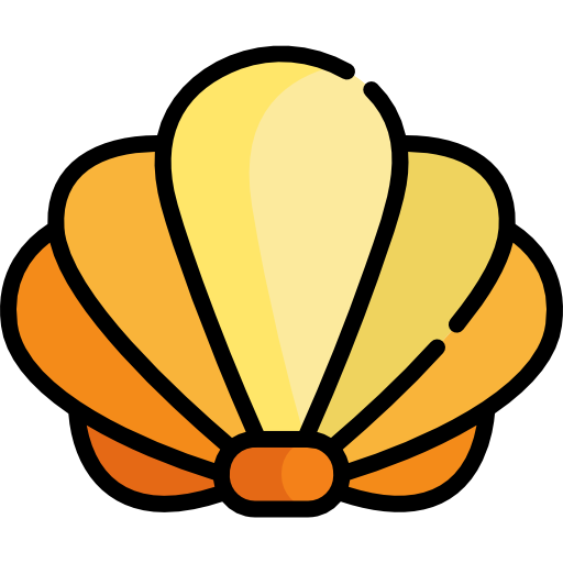 Seashell Special Lineal color icon