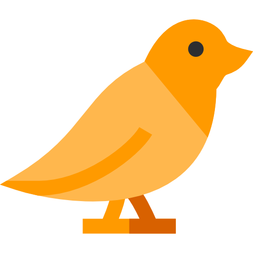 uccello Basic Straight Flat icona