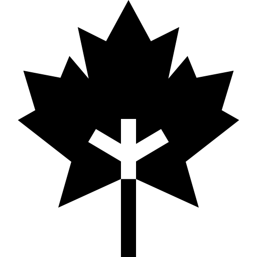 ahornblatt Basic Straight Filled icon
