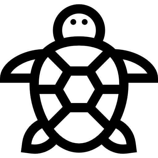 żółw Basic Straight Lineal ikona