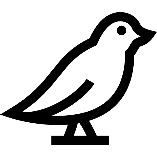 ptak Basic Straight Lineal ikona