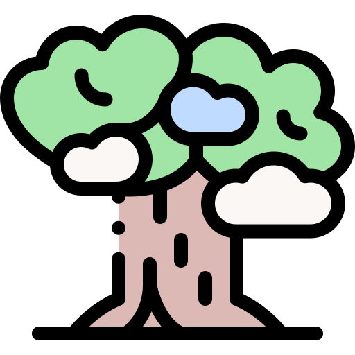 baobab Detailed Rounded Lineal color icon