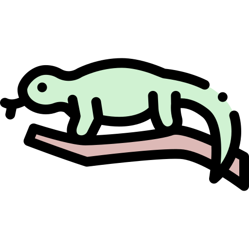 Lizard Detailed Rounded Lineal color icon