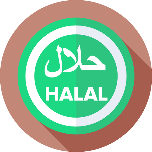 halal Flat Circular Flat Ícone