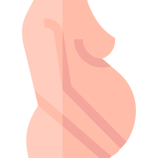 Pregnancy Basic Straight Flat icon