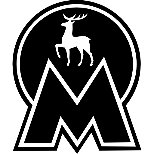 Nizhny Novgorod metro logo symbol  icon