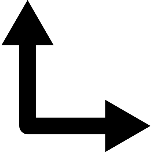 Double arrow angle  icon