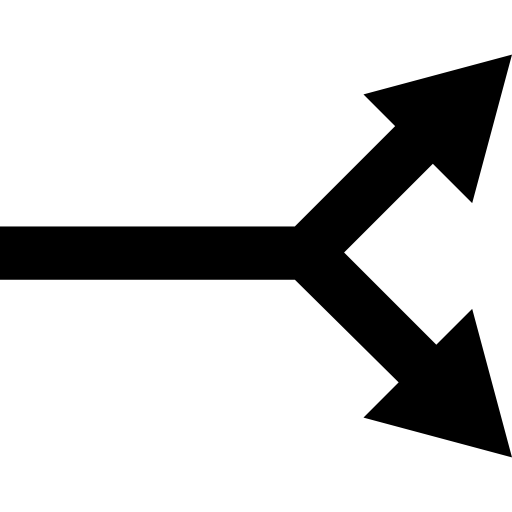 Straight arrow with bifurcation to two  icon