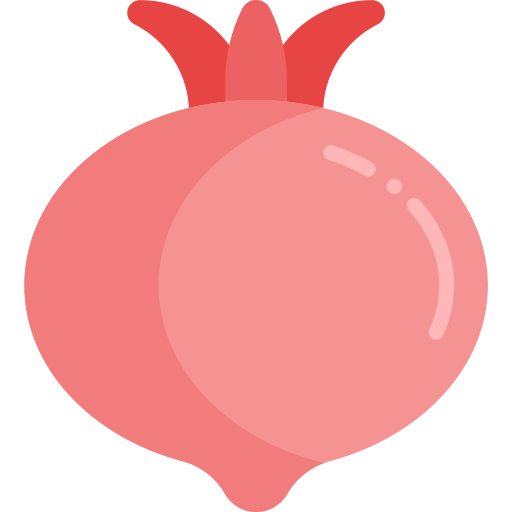 granatapfel Generic Flat icon
