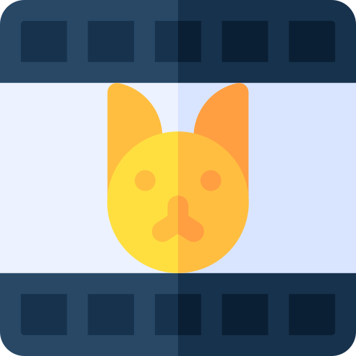film Basic Rounded Flat icoon