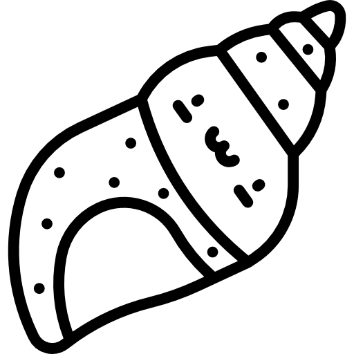 Морская ракушка Kawaii Lineal иконка