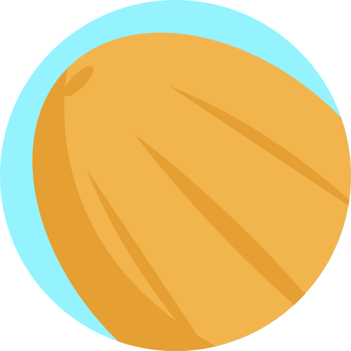 melone Detailed Flat Circular Flat icona