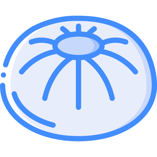momo Basic Miscellany Blue icoon