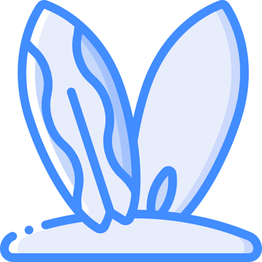 planche de surf Basic Miscellany Blue Icône
