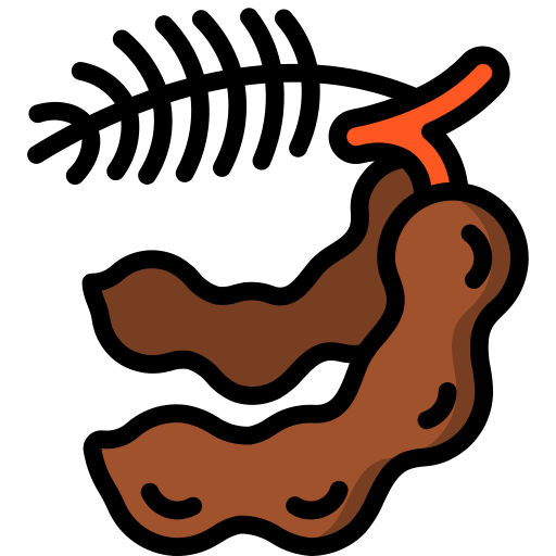 Tamarind Basic Miscellany Lineal Color icon
