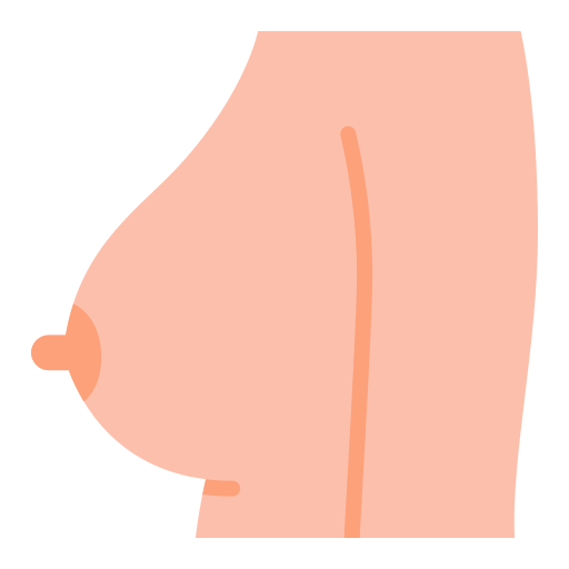 Breast Good Ware Flat icon