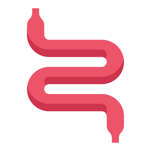 Intestine Good Ware Flat icon