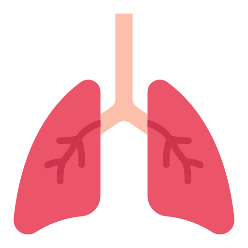 Lungs Good Ware Flat icon