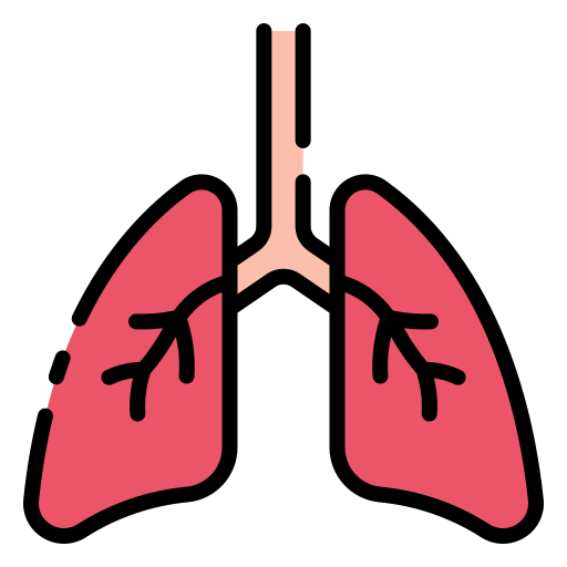 pulmones Good Ware Lineal Color icono