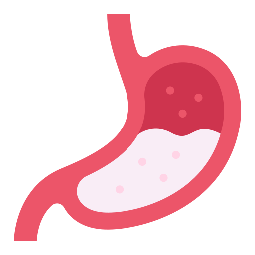 Stomach Good Ware Flat icon