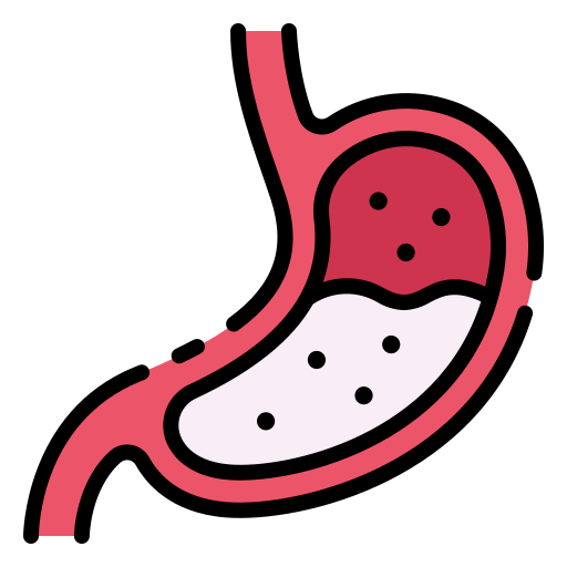 Stomach Good Ware Lineal Color icon
